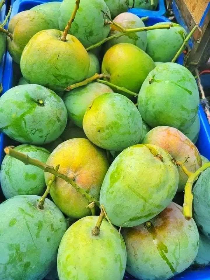 হাড়িভাঙ্গা আম (বিষমুক্ত)
